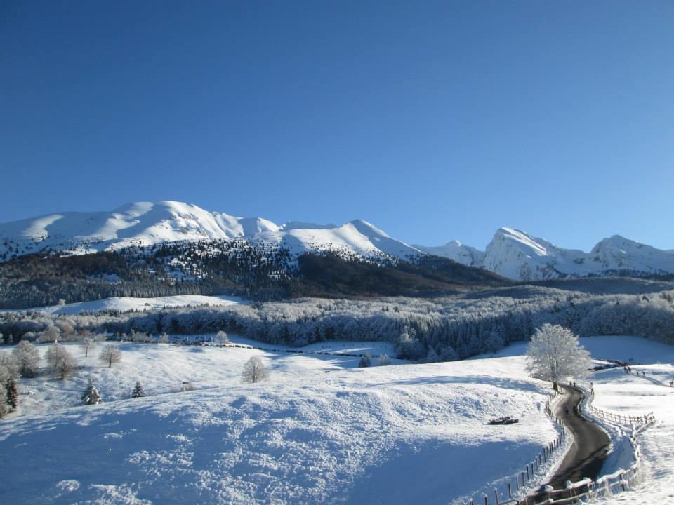 Taxus Hostel Pieve Tesino ภายนอก รูปภาพ